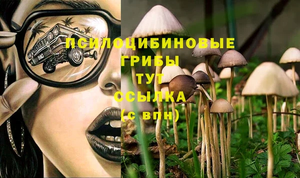 кокаин премиум Алексеевка