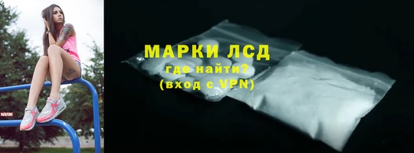 сатива Абинск
